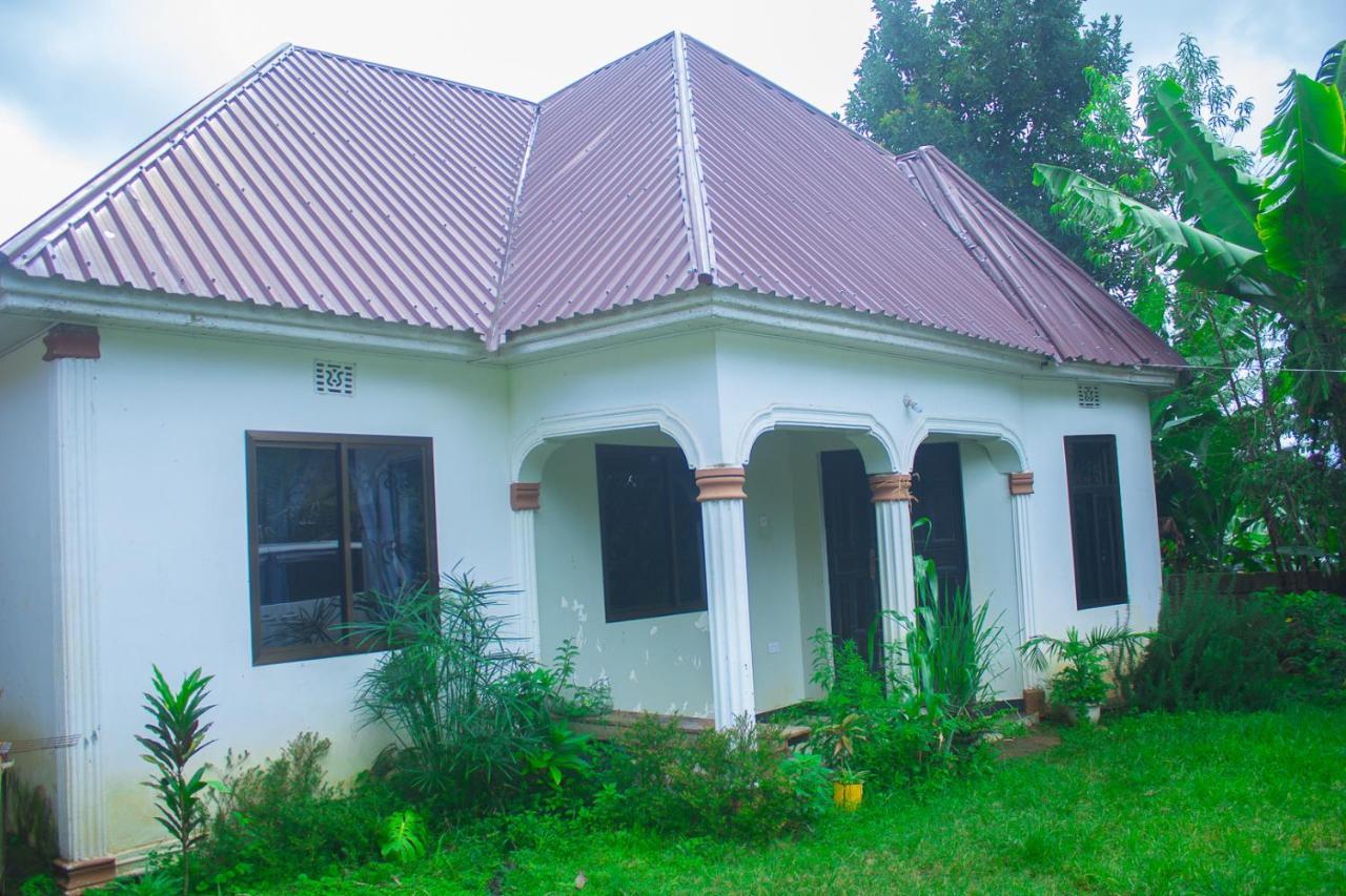 לינה וארוחת בוקר ארושה New Dream House מראה חיצוני תמונה